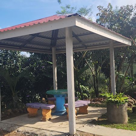 Cabinas El Pilon Rio Celeste ภายนอก รูปภาพ