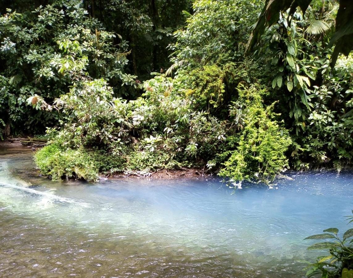 Cabinas El Pilon Rio Celeste ภายนอก รูปภาพ