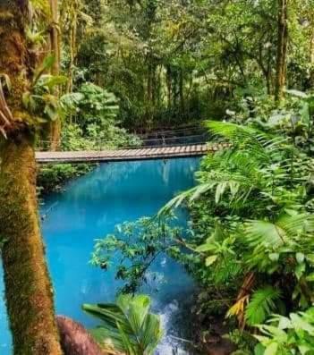 Cabinas El Pilon Rio Celeste ภายนอก รูปภาพ