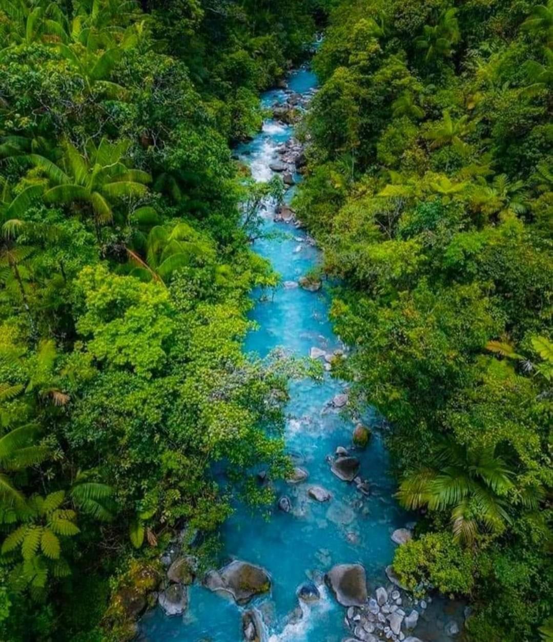 Cabinas El Pilon Rio Celeste ภายนอก รูปภาพ