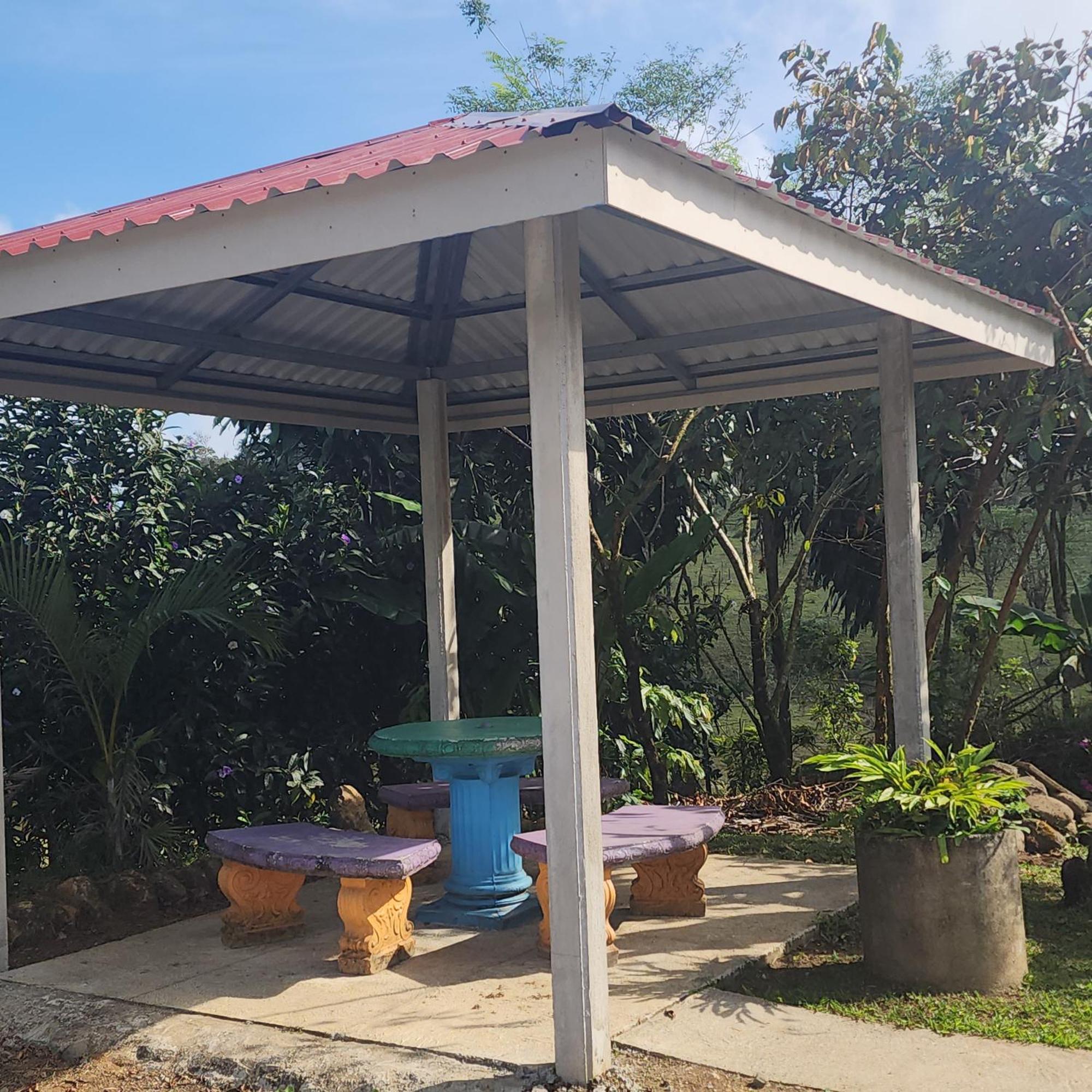 Cabinas El Pilon Rio Celeste ภายนอก รูปภาพ
